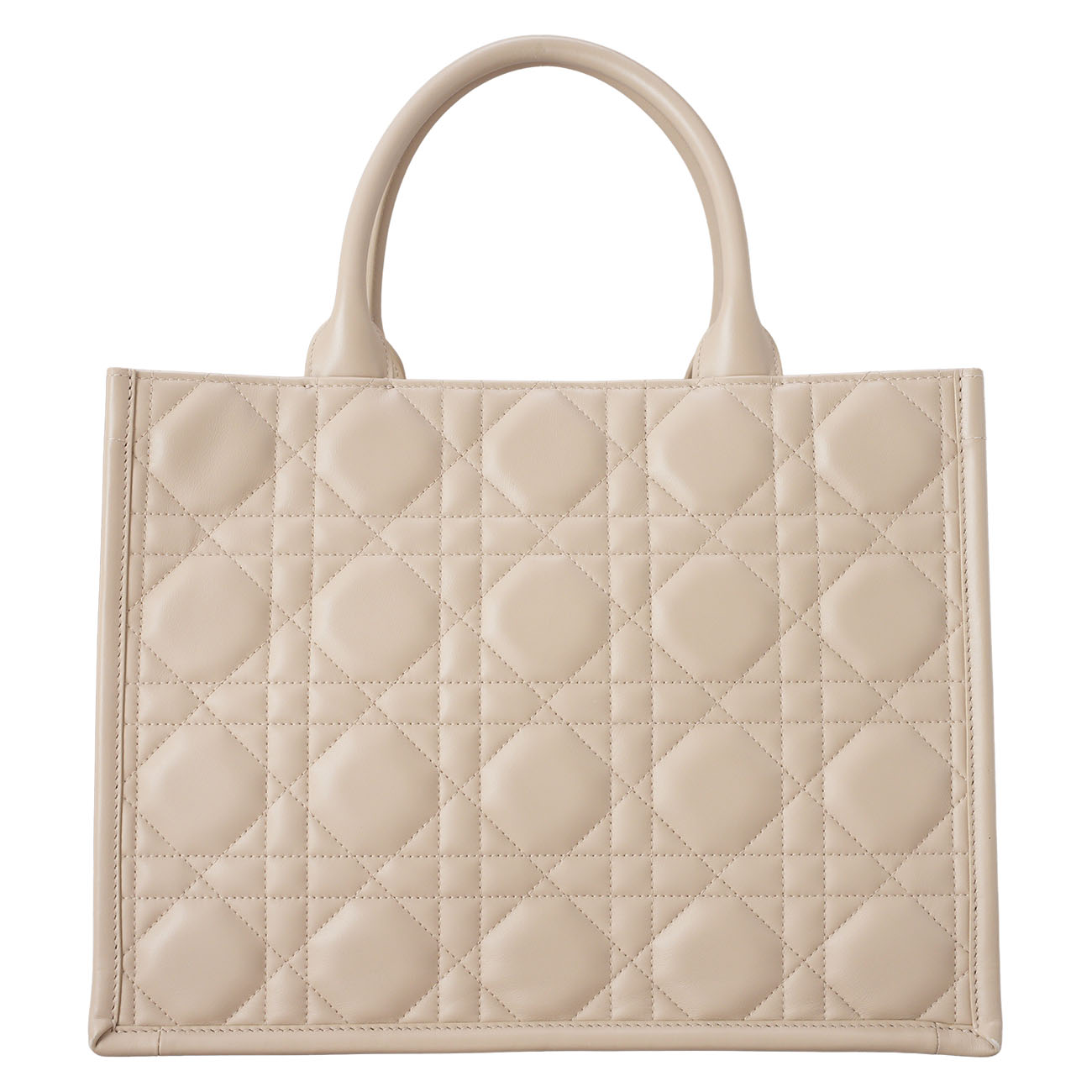 CHRISTIAN DIOR(USED)디올 레더 북토트 미듐